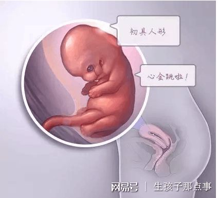 胚胎培养室